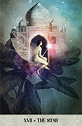 The Star Tarot card in Tarot of Mystical Moments deck