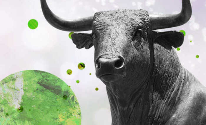 All About Taurus